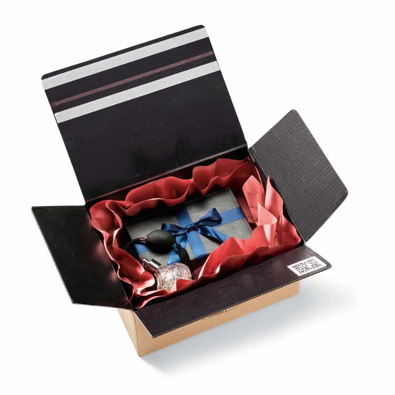 PAPERplus® Papillon in een notendop