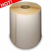 Rol 500 etiketten 100x150mm ThermoEco Permanent Kern 25mm